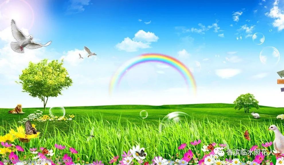 习作例文我家的小狗思维导图,写作文小狗思维导图