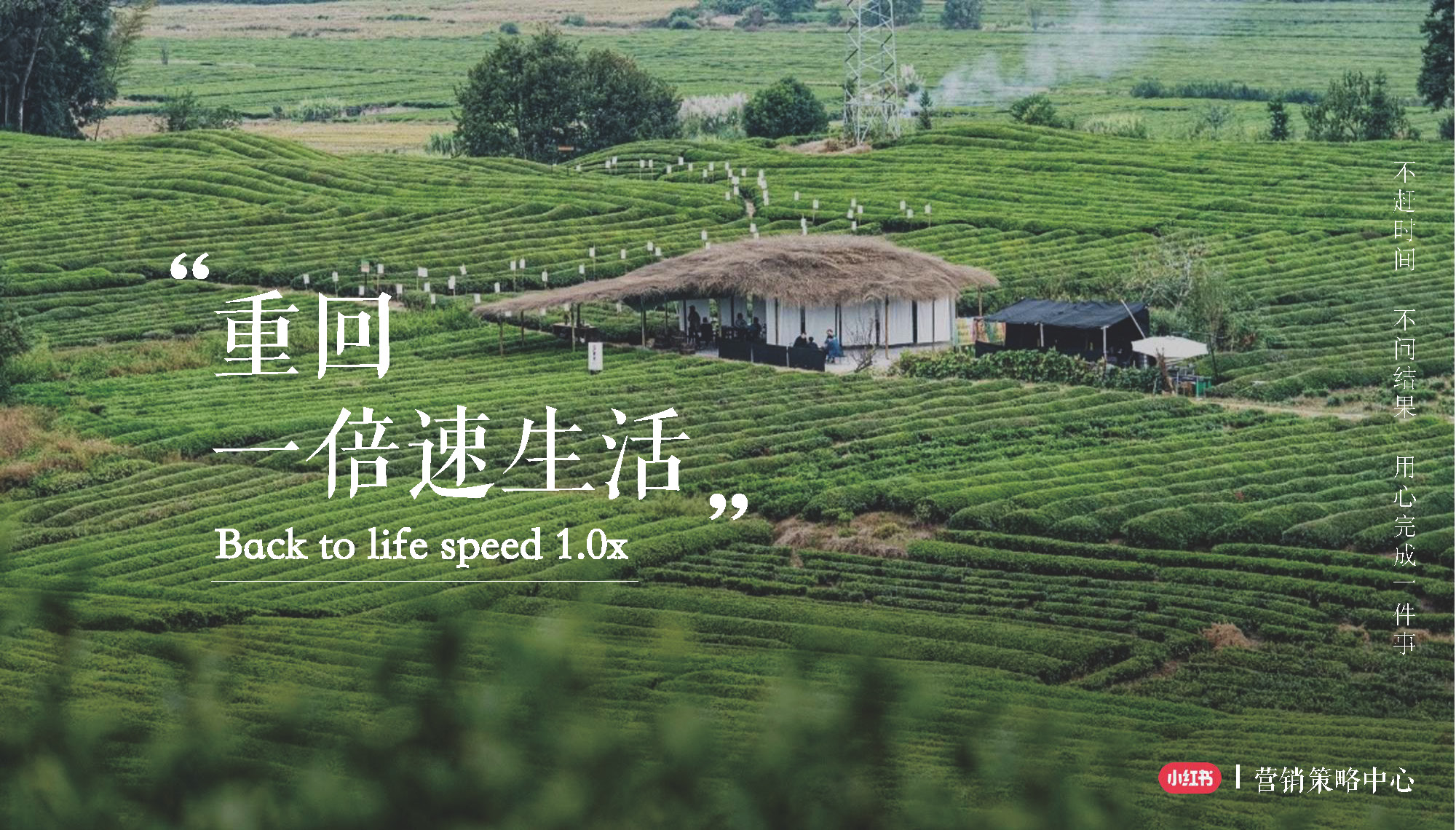 2023小红书平台营销投放趋势,2023小红书电商趋势报告