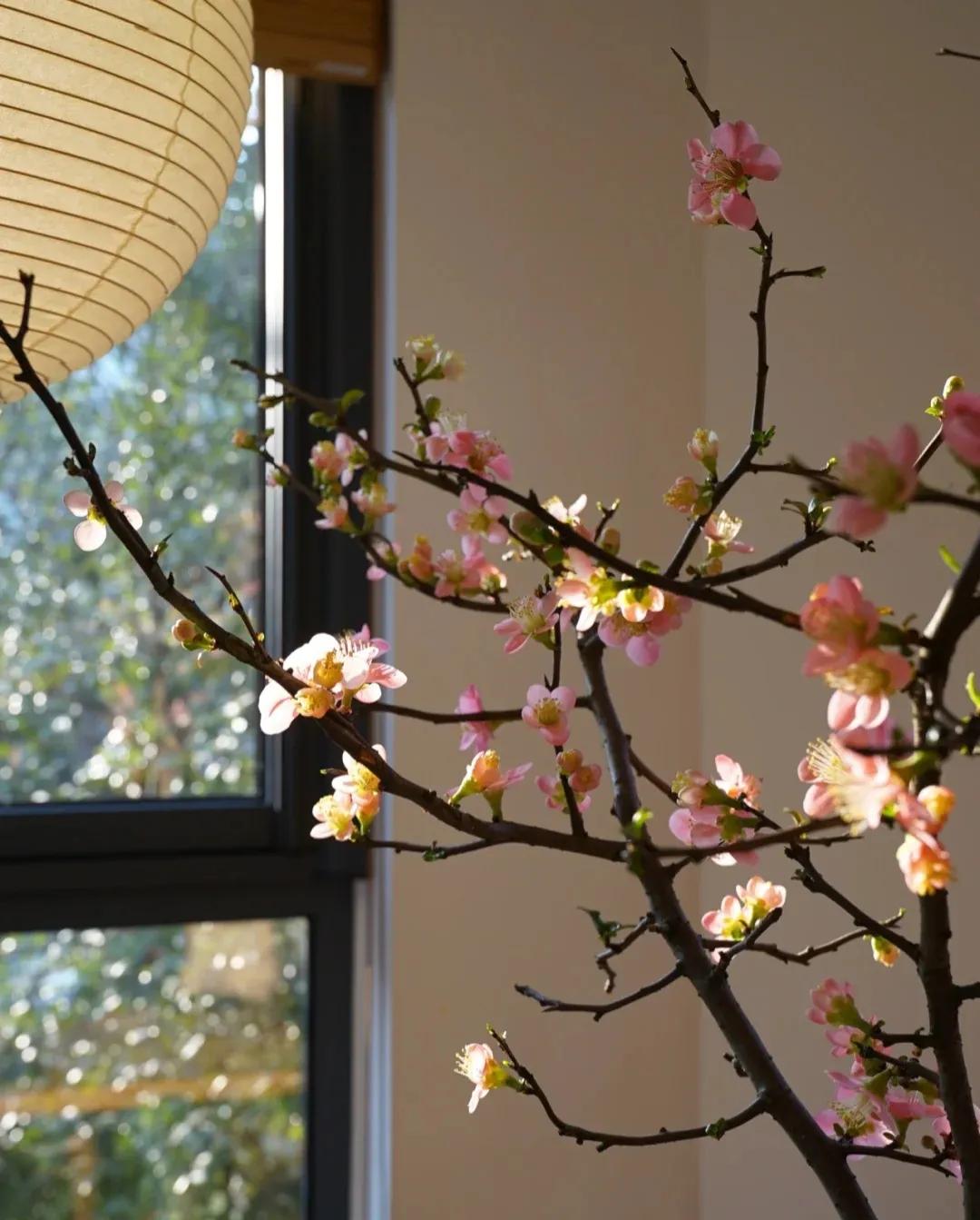 江苏发现一户人家太会装修而走红,安徽房屋室内装修隔断效果图