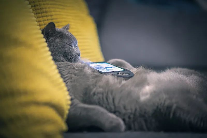 如何成为一个打工人,如何成为一个懒散的人