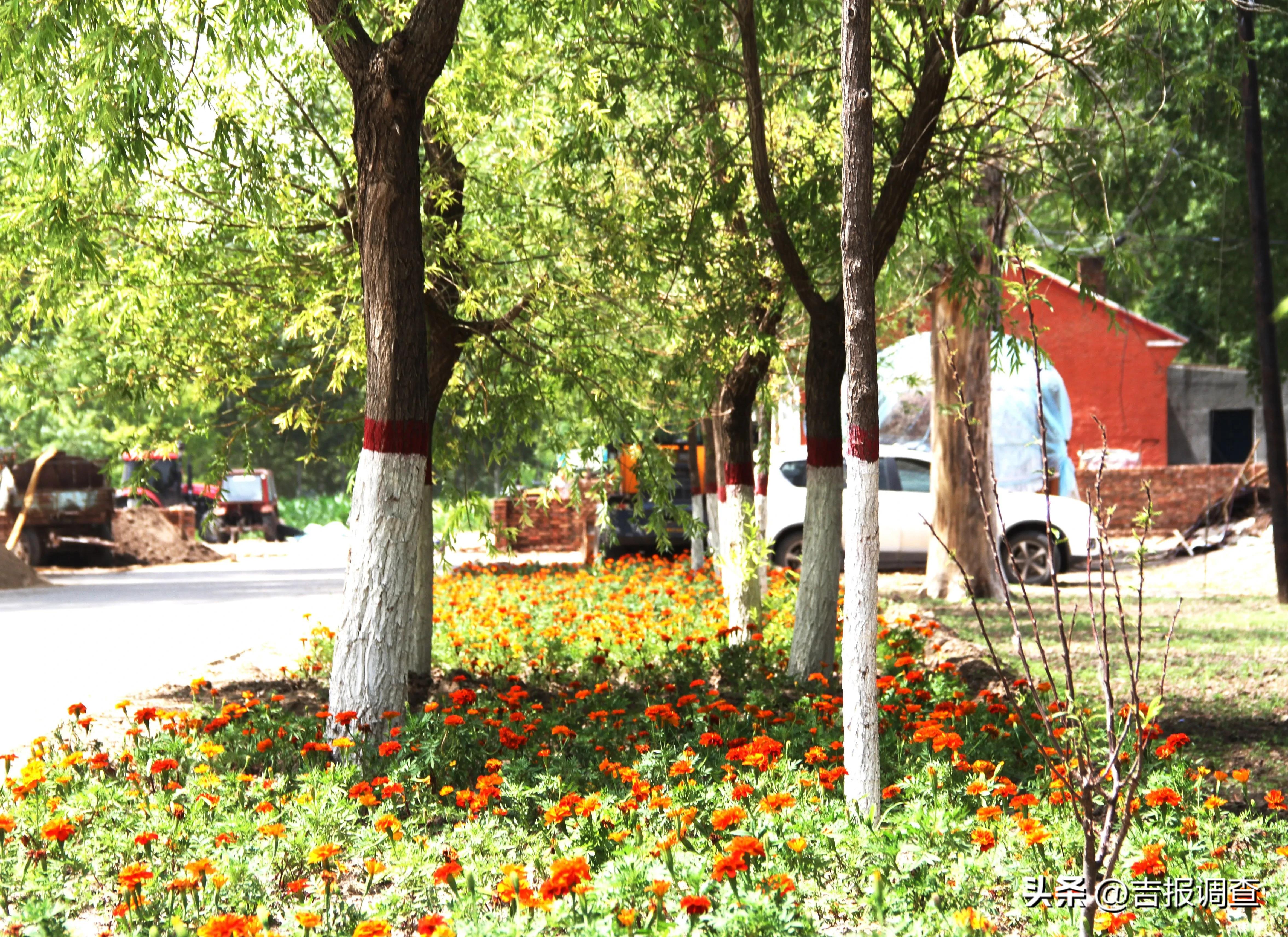 镇赉县黑鱼泡村,二龙村视频
