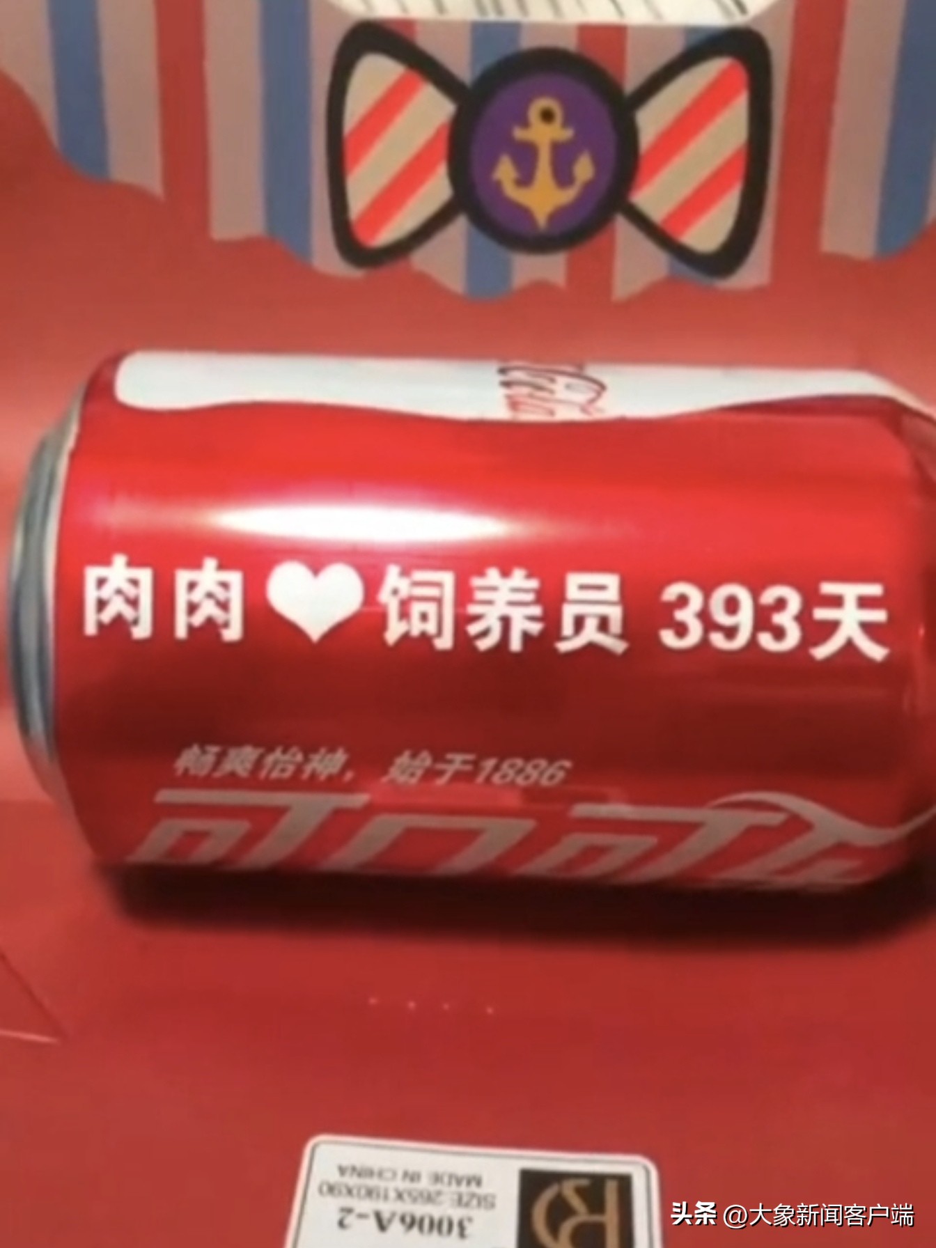 苏州杀夫藏尸案进展,苏州杀夫藏尸案全动画模拟过程