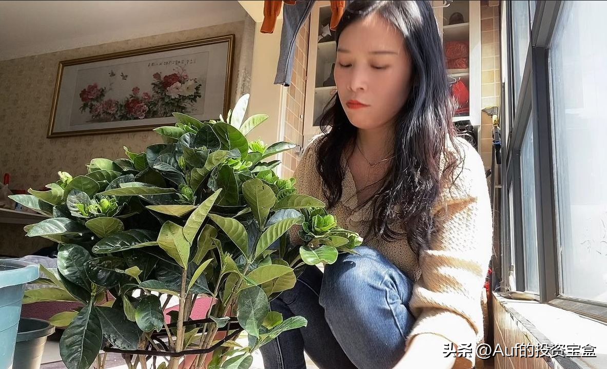 姜超中泰证券,姜超炒股