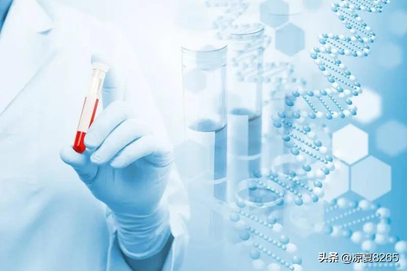 恐龙血型是个什么血型呢？