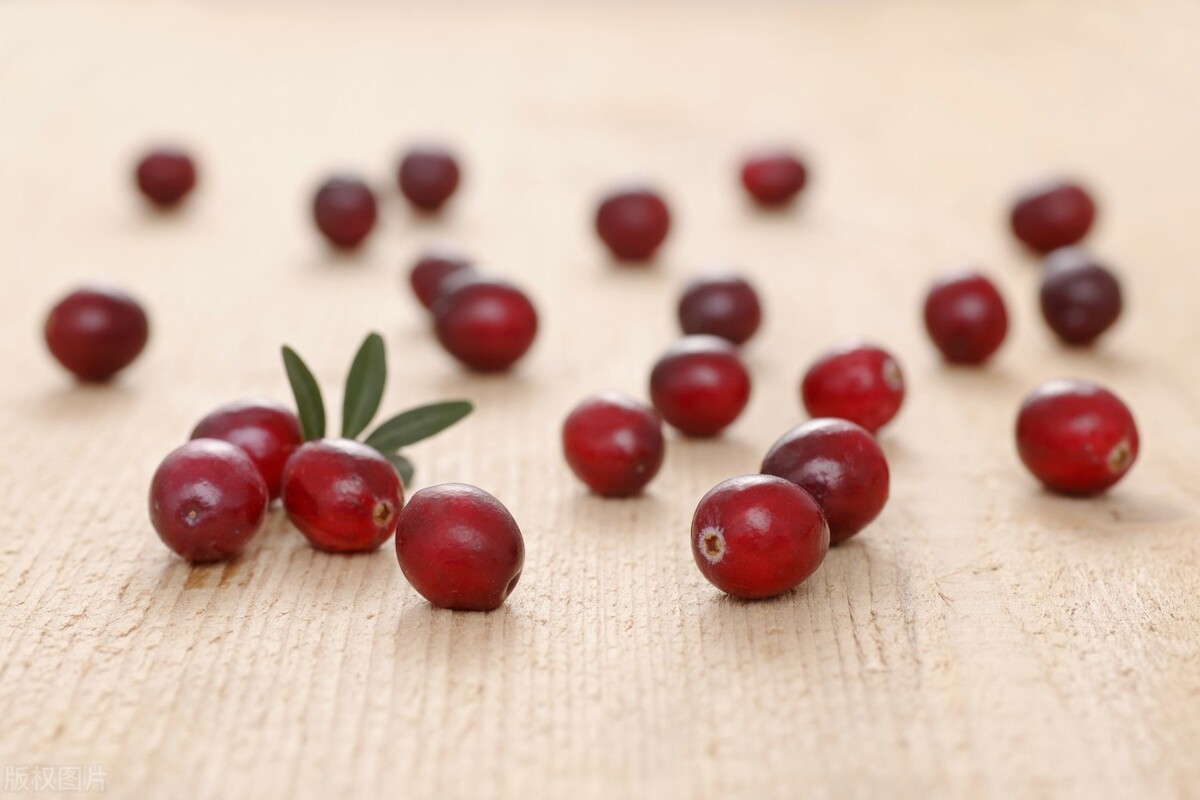 狗狗得肿瘤该怎么办？哪些食物能抑制狗狗肿瘤的扩散？该怎么做？