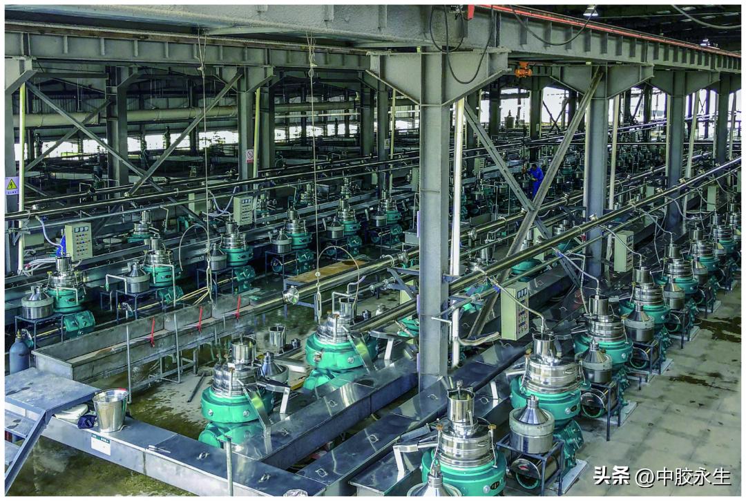 舒睡有什么用,舒睡经典款