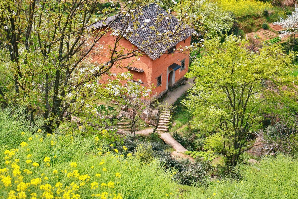 小学语文三年级下册必背古诗,小学语文考编必背古诗汇集朗读