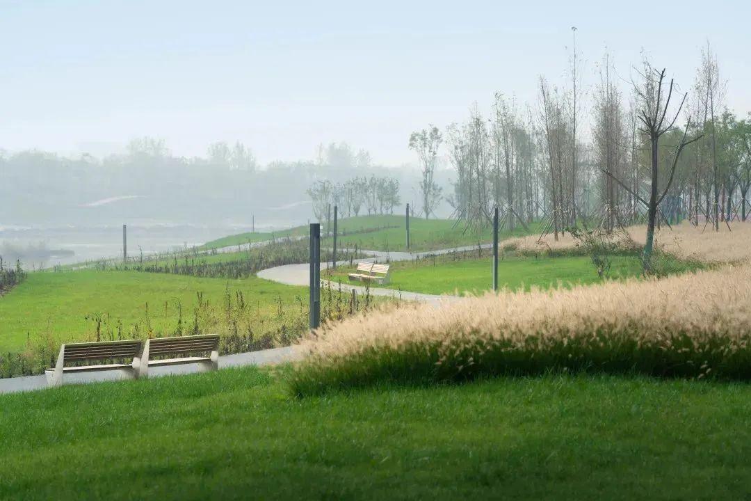 骑行打卡景点,湿地骑行观风景