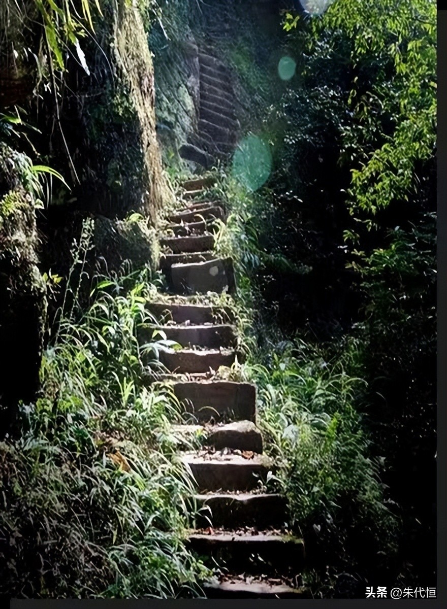 献给天下已逝的母亲——怀缅母亲