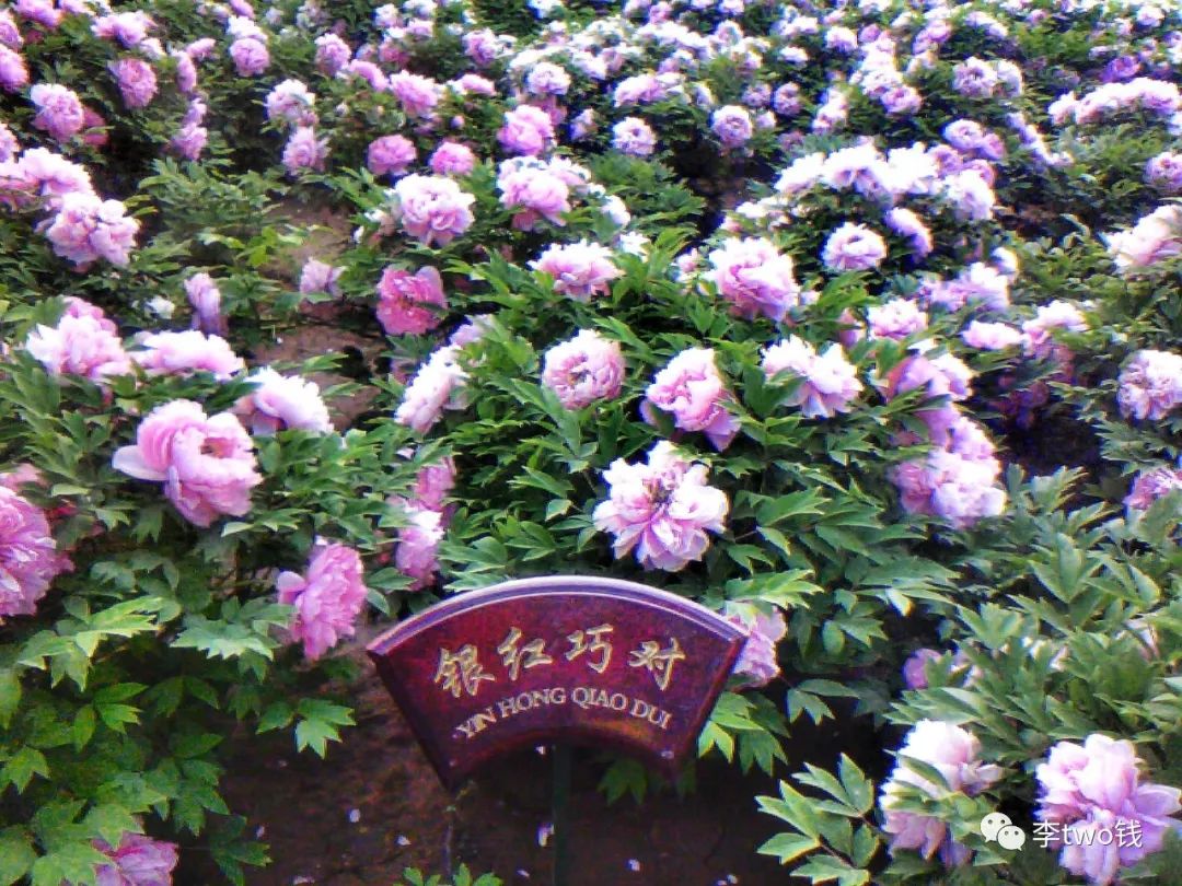 河南省风景花园,河南风景区公园