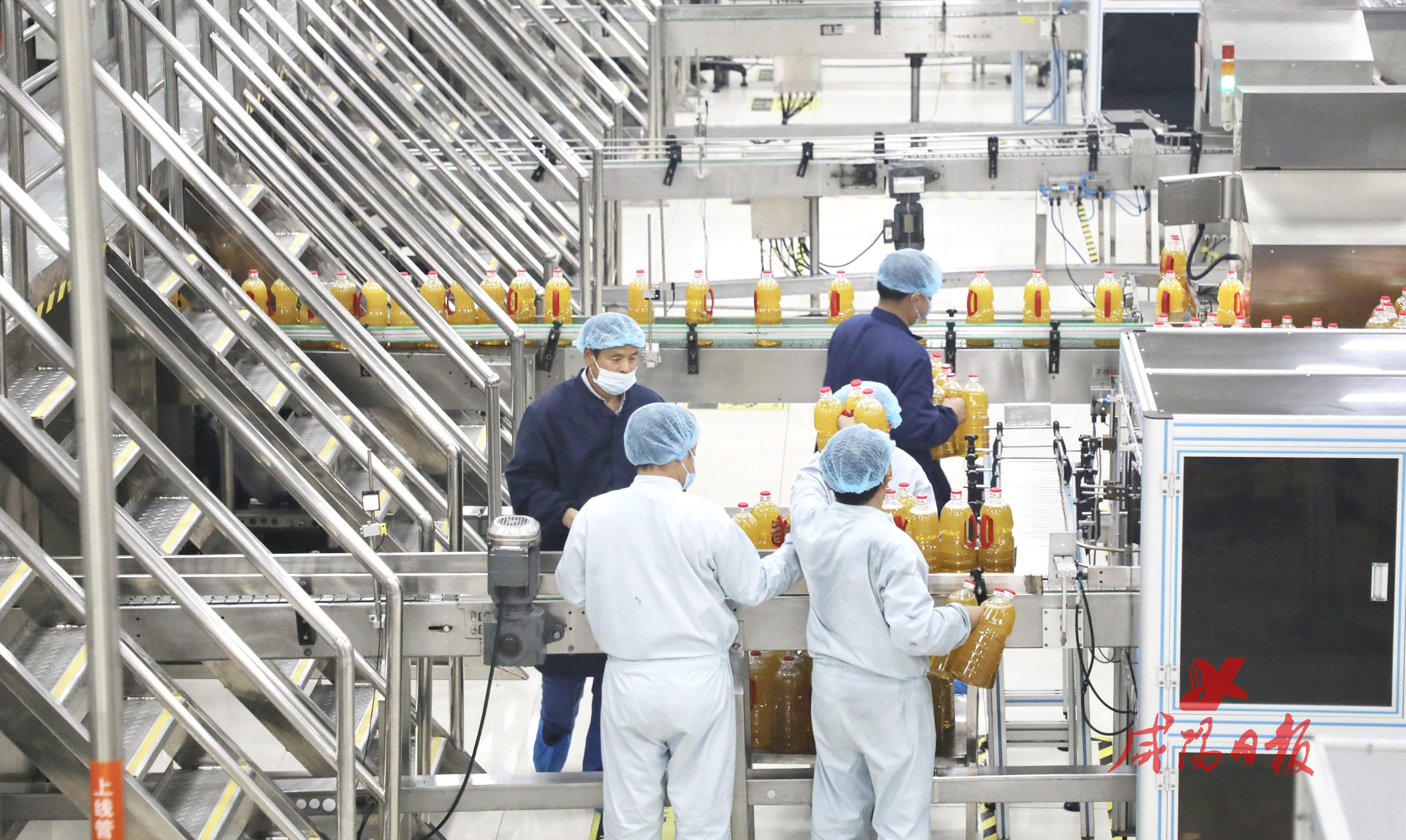 鑸屽皷涓婄殑鍜搁槼,鑸屽皷涔嬩笂