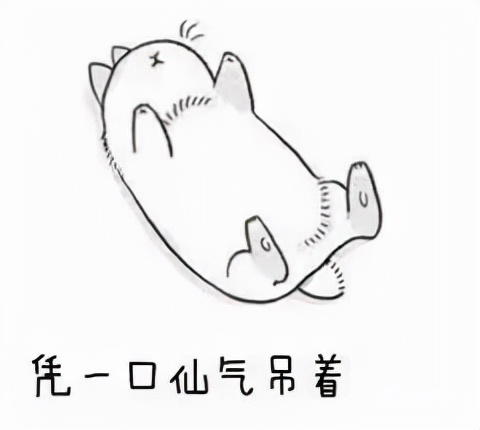 徐峥辟谷减肥视频,徐峥减肥25斤真实视频