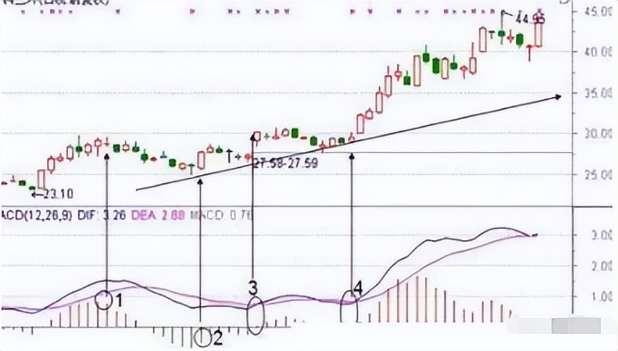 macd的红绿柱绝密用法 (如何用macd红绿柱判断买卖点)