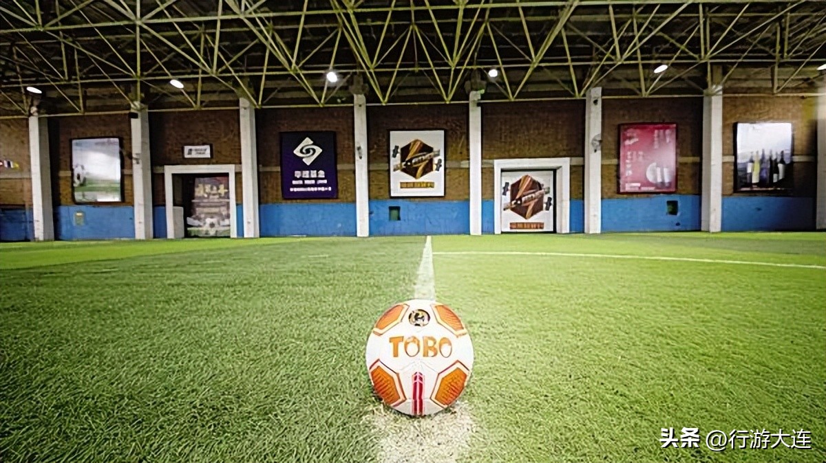 大连体育中心足球场专业足球场,世界杯足球场比赛场地