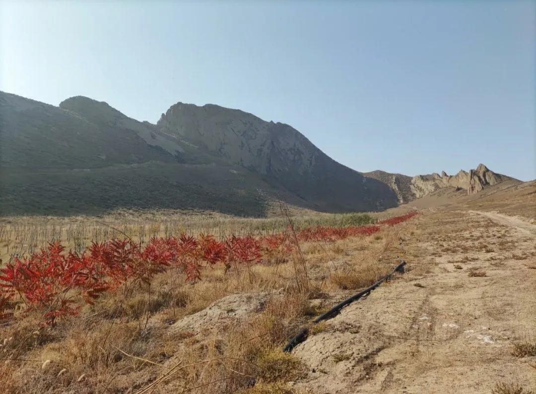 乌鲁木齐哪里有生态公园,乌鲁木齐山区哪里最好玩儿