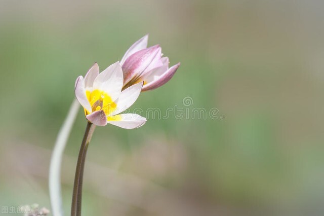 余生都要坚持的生活习惯,过好余生的每一天继续前行