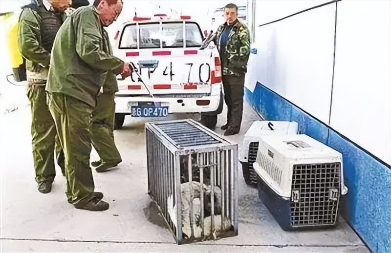 那些胡乱放生的人,那些放生的人都怎么想的