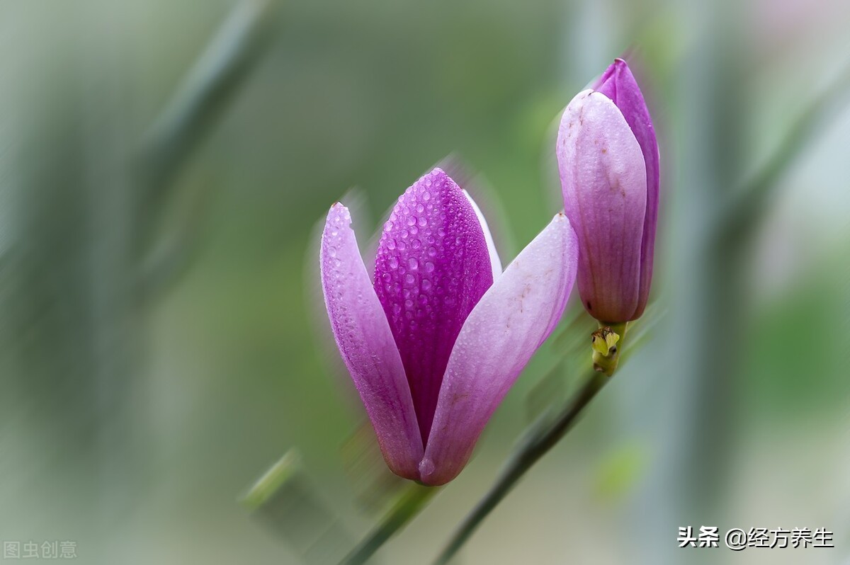 演员产后漏尿的原因,为什么产后修复后还漏尿