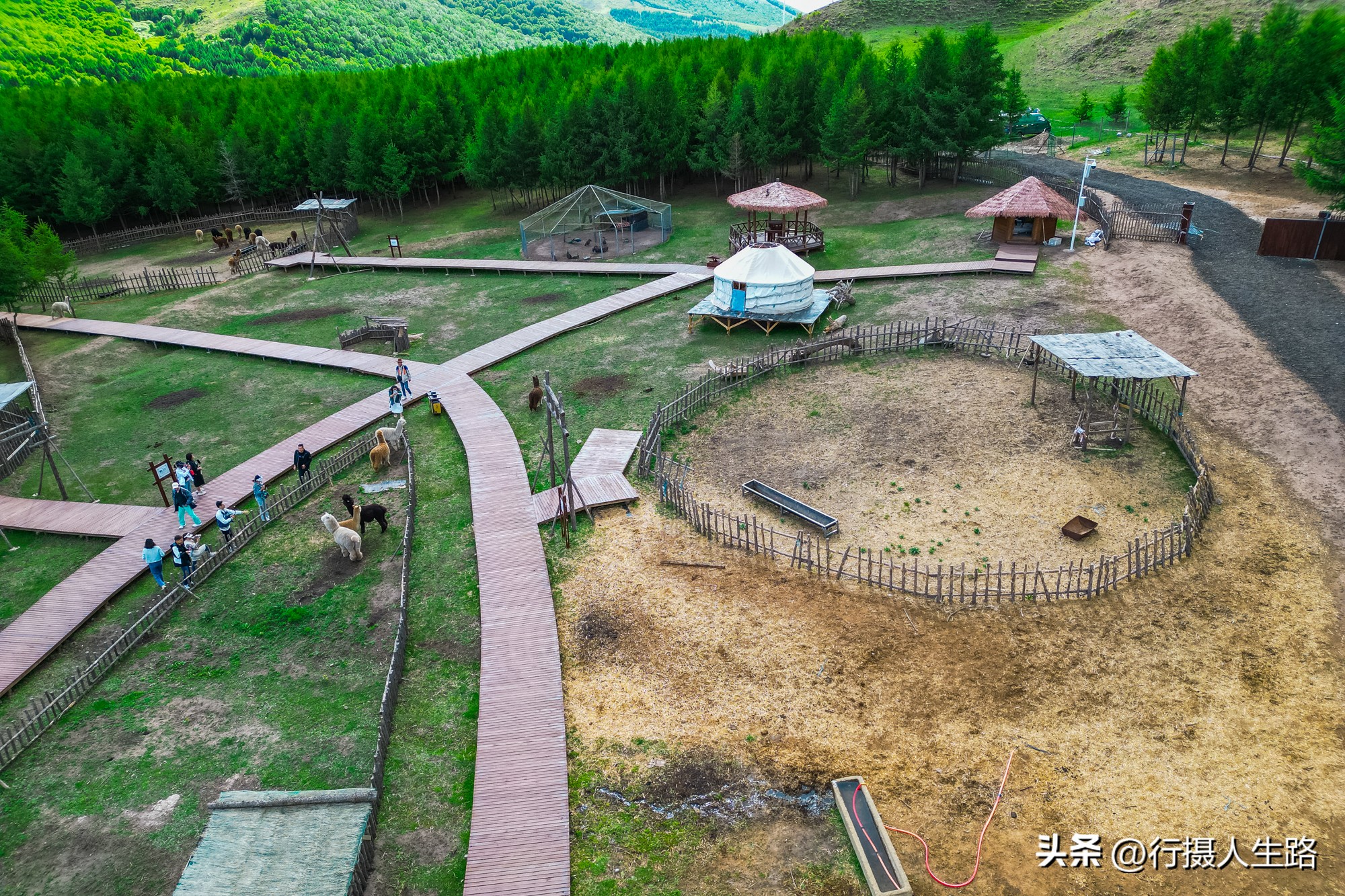 一路向北去追寻夏日美景,一路向北去呼伦贝尔大草原