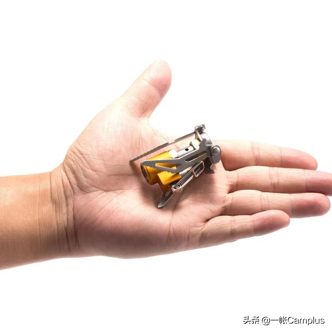 火枫现状,火枫近况