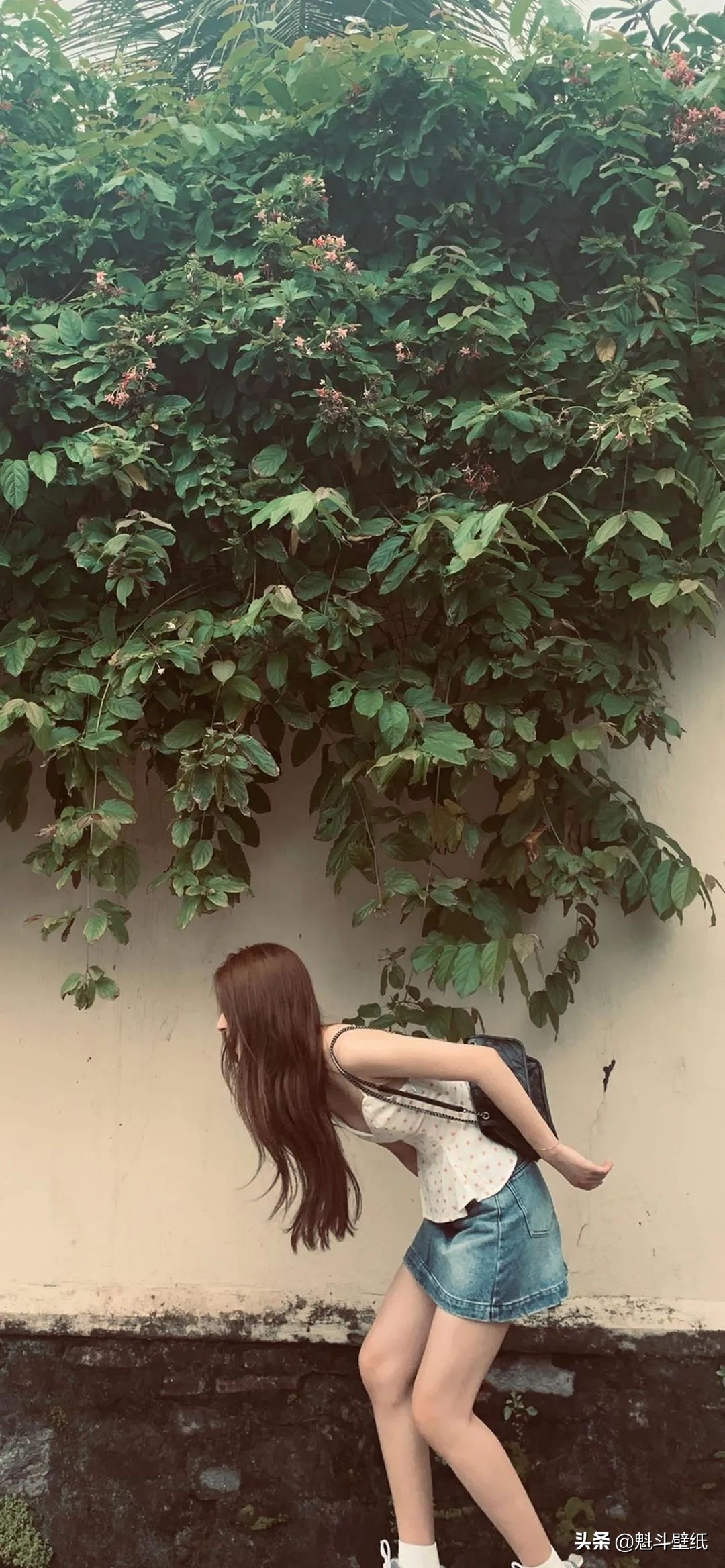 鍙ら璇綍澹佺焊鍞編,鍙ら鍞編鍙ュ瓙鍥剧墖澹佺焊