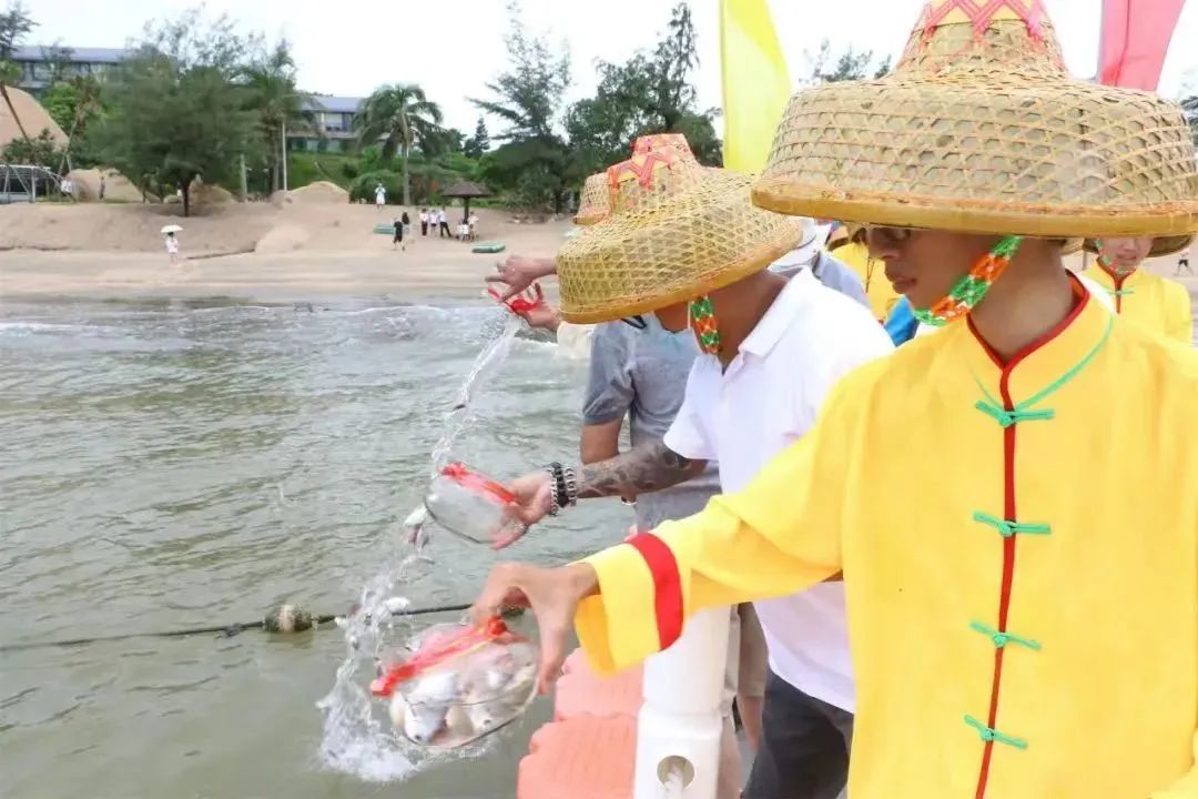 江门一日游必去的地方江门浪琴湾,江门台山尾角湾游玩攻略