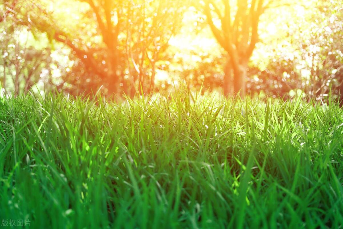 春天晒背养阳,晒背养阳有什么好处