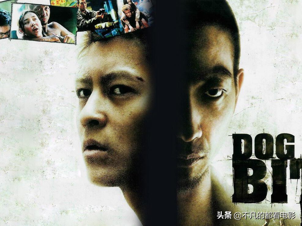 香港十大经典冷门电影,香港十大冷门犯罪电影