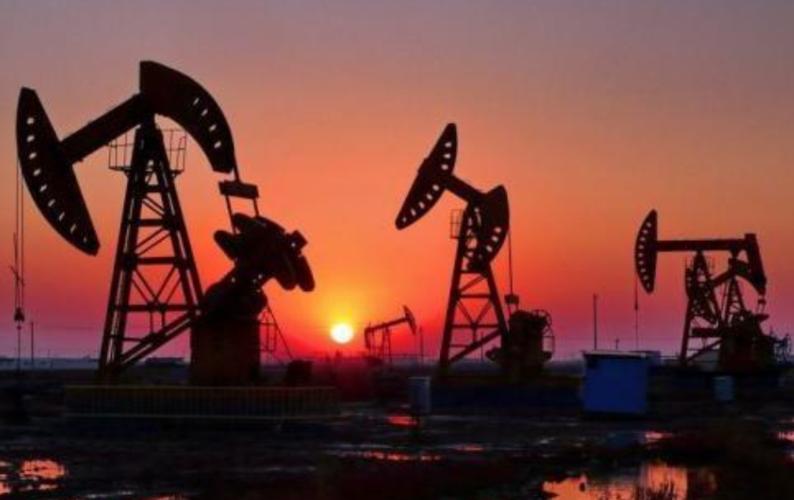 石油是不是远古森林形成的,石油是怎么形成的历史故事