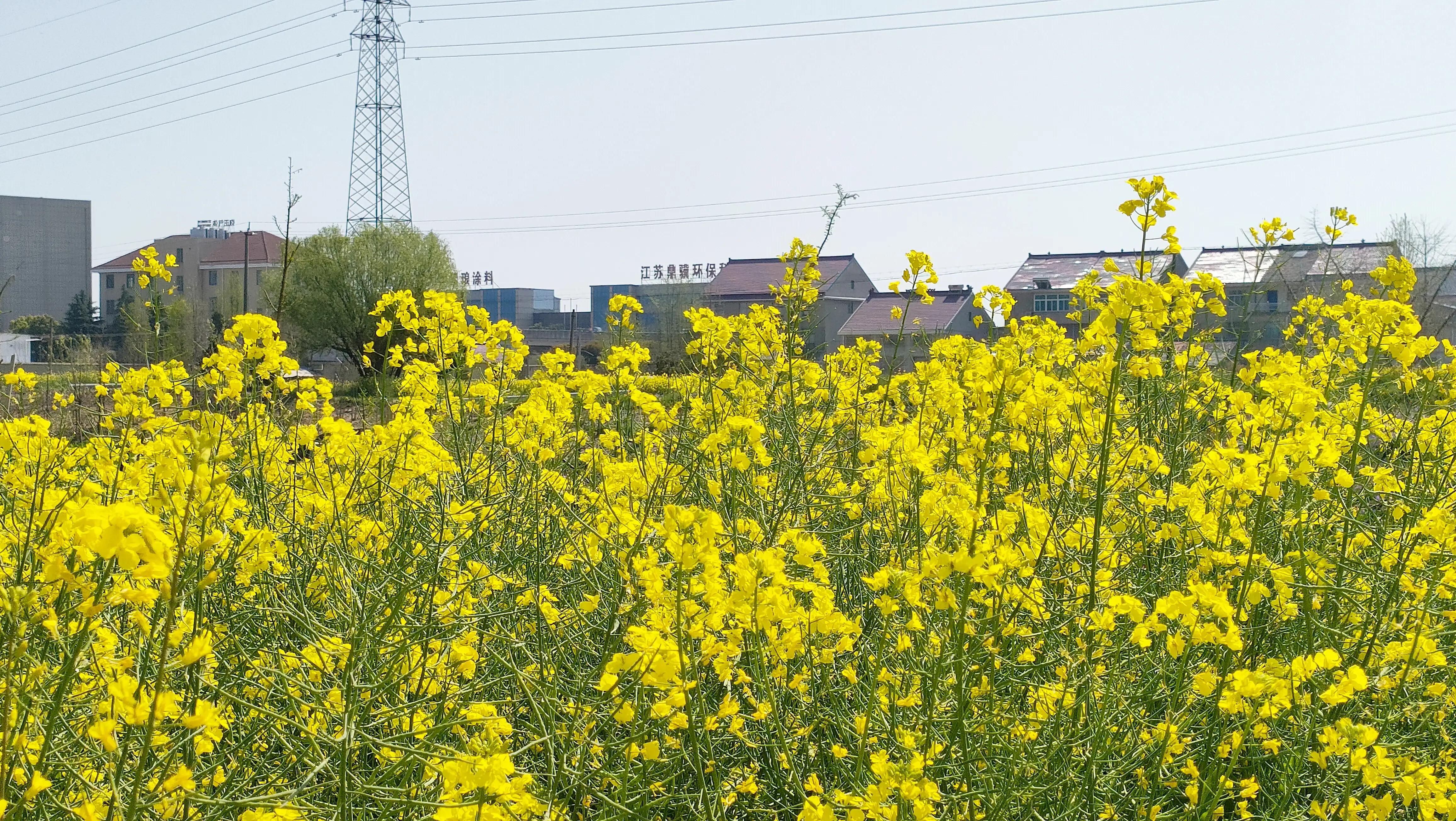 美丽的句子心情随笔,心情随笔关于自己的感悟