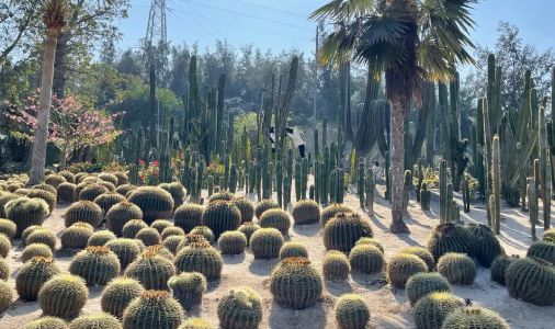 厦门必打卡10大景点推荐,厦门旅游景点必去十大景点自由行