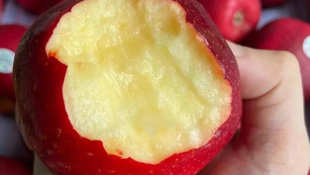 水果店第一次拿货怎么拿回来,水果店第1次进货注意事项