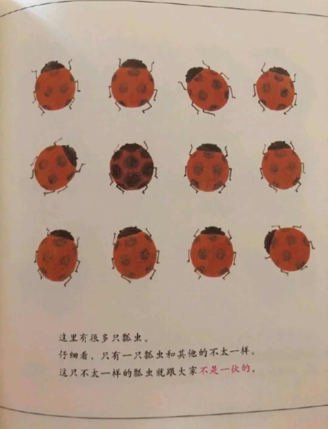 数学启蒙绘本酷炫100天,数学原来可以这样学的绘本