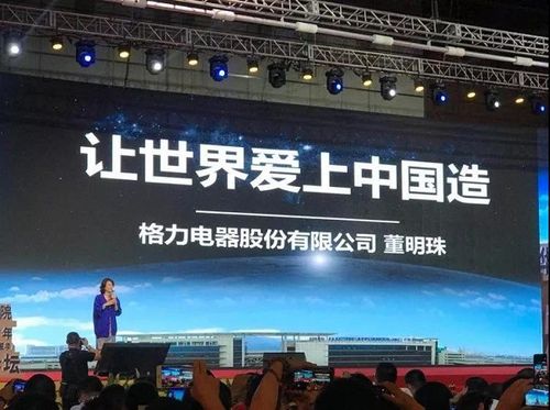 格力企业财务风险分析与防范论文,格力财务管理制度分析