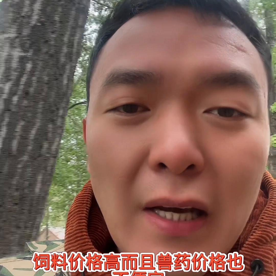 dou+小助手设置,dou+小助手投放有用吗