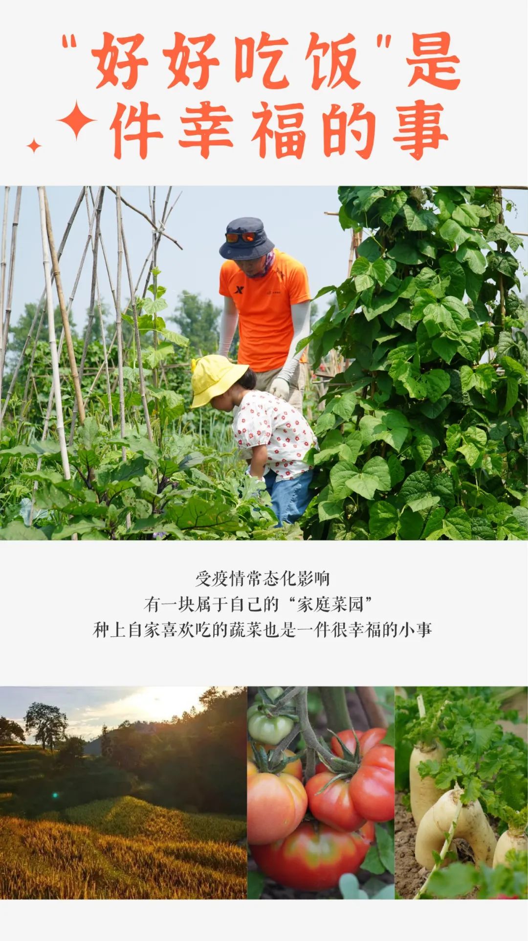 小毛驴农场,小毛驴农业园