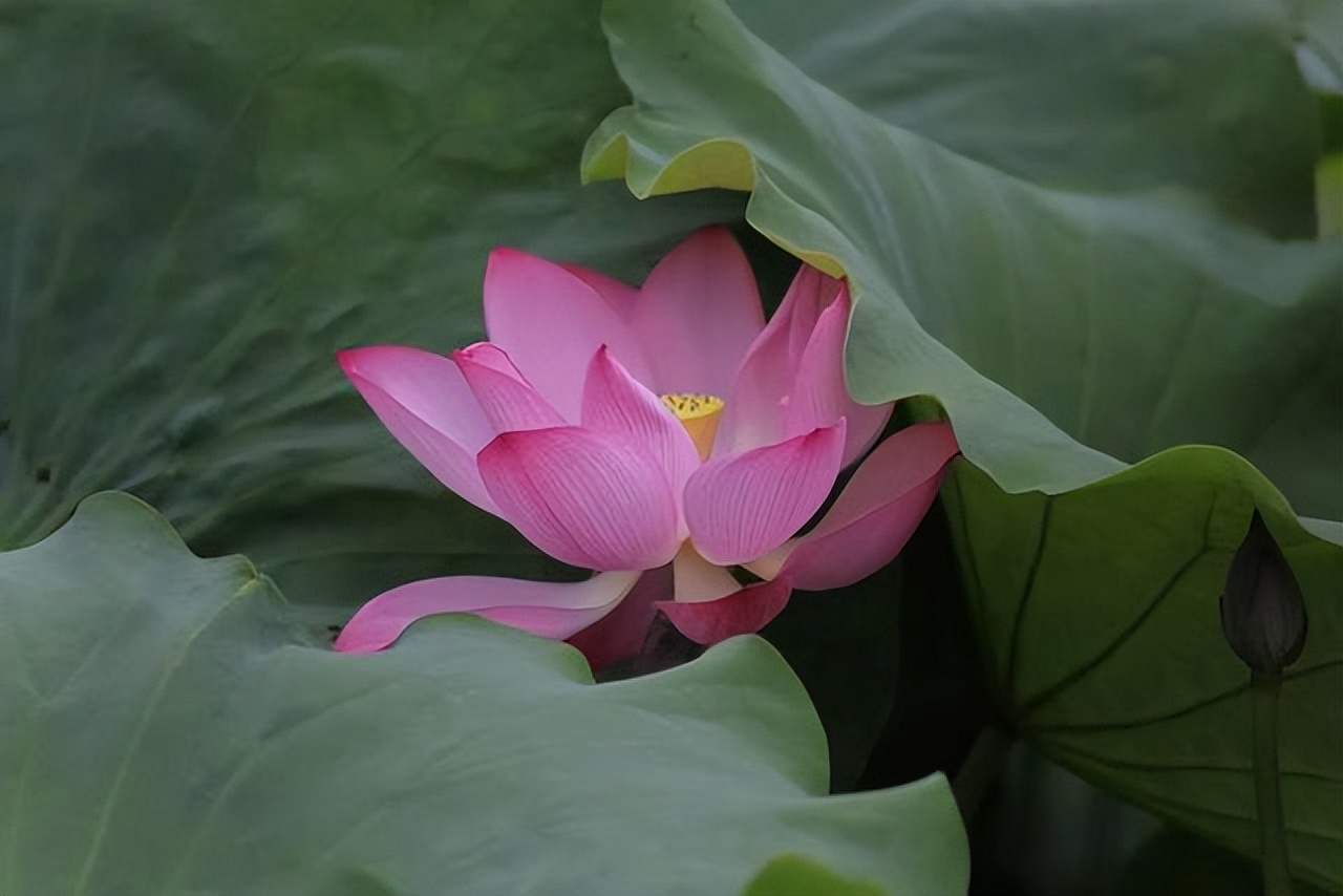 人到中年挣钱是最重要的事,只要放下面子就能赚钱的行业