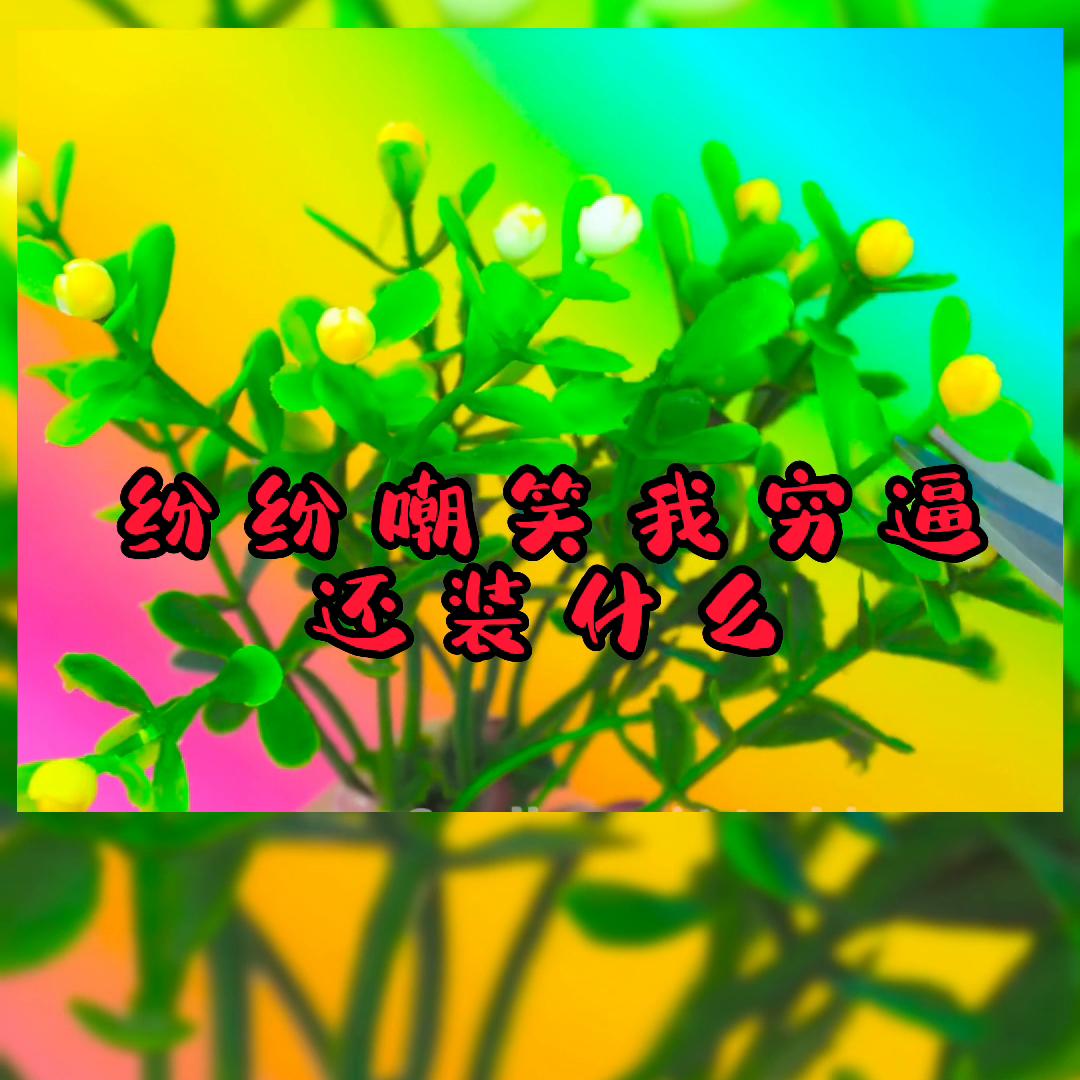 极度舒适的轻音乐,极度舒适的强迫症视频