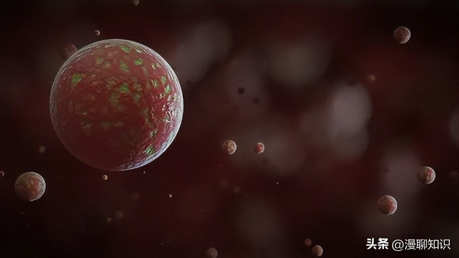 猫会感染人的疾病的图片,猫病毒检测cpr可以测出什么病毒