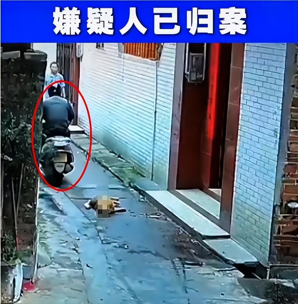 偷狗贼用的毒针很厉害吗,偷狗贼用的什么毒针