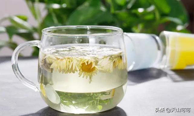 菊花茶分哪几种夏天喝哪种更好,夏天喝冬瓜茶好还是喝菊花茶好