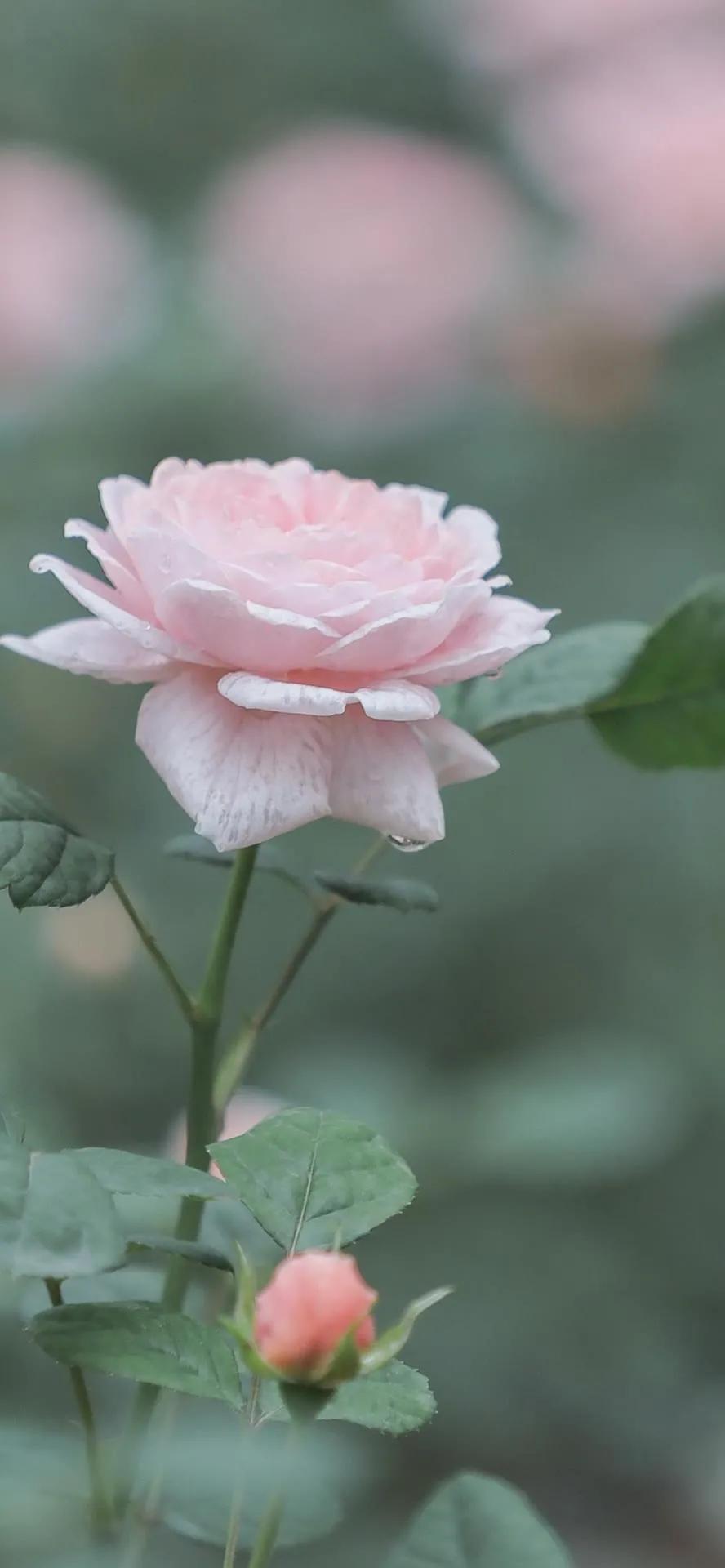 湛蓝的海水海滩风景高清壁纸,高清壁纸8k全屏无水印风景