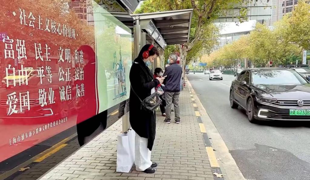 袁立偷狗搞笑视频,袁立讲偷狗的视频