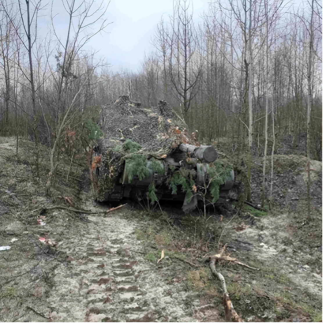 乌军主力还剩多少,乌军大反攻有多少兵力