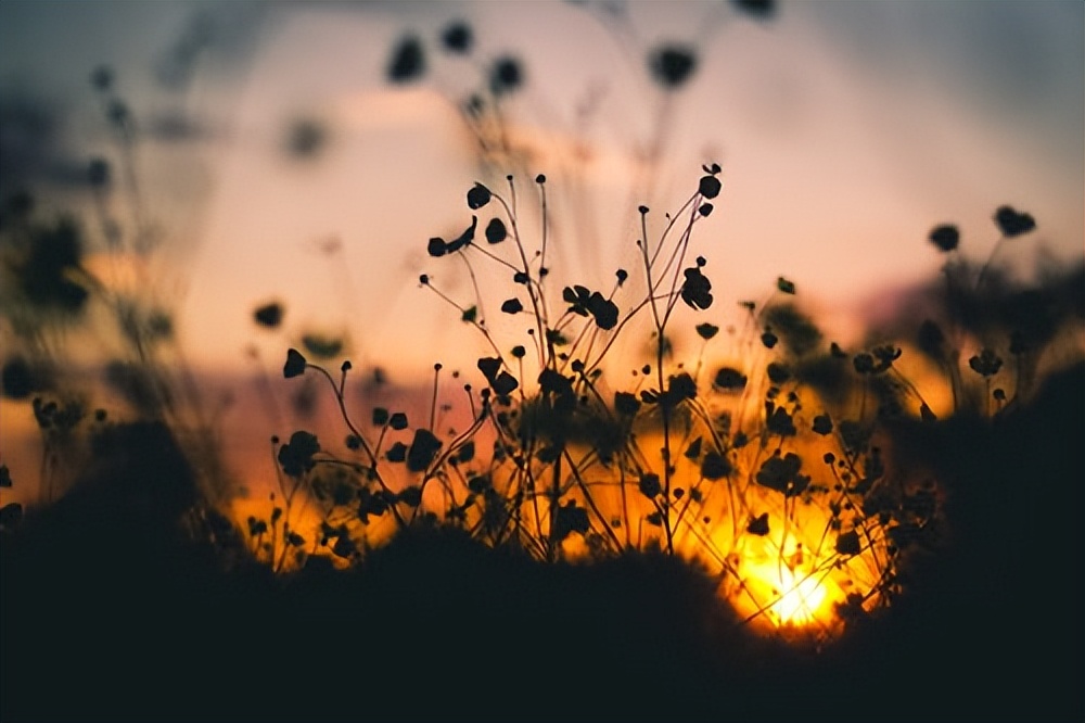 摆脱疲惫感在线阅读,如何快速摆脱干瘪疲惫感