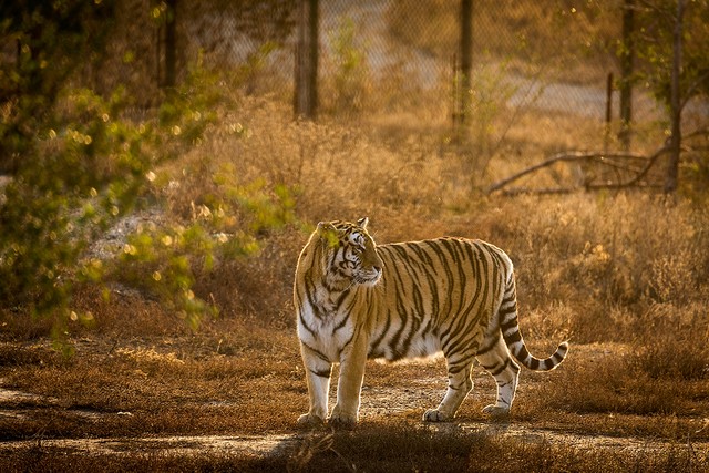 辽宁海岛旅游景点推荐,辽宁旅游攻略必去景点推荐一览表