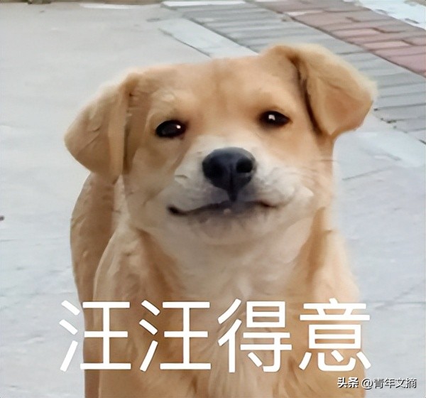 开心一刻｜有人接单吗？接一下我的孤单