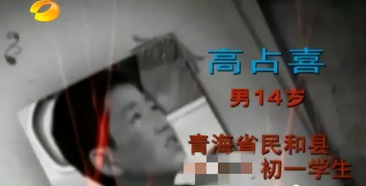 变形计最清醒女孩现在怎么样了,13年前变形计中的孩子已长大