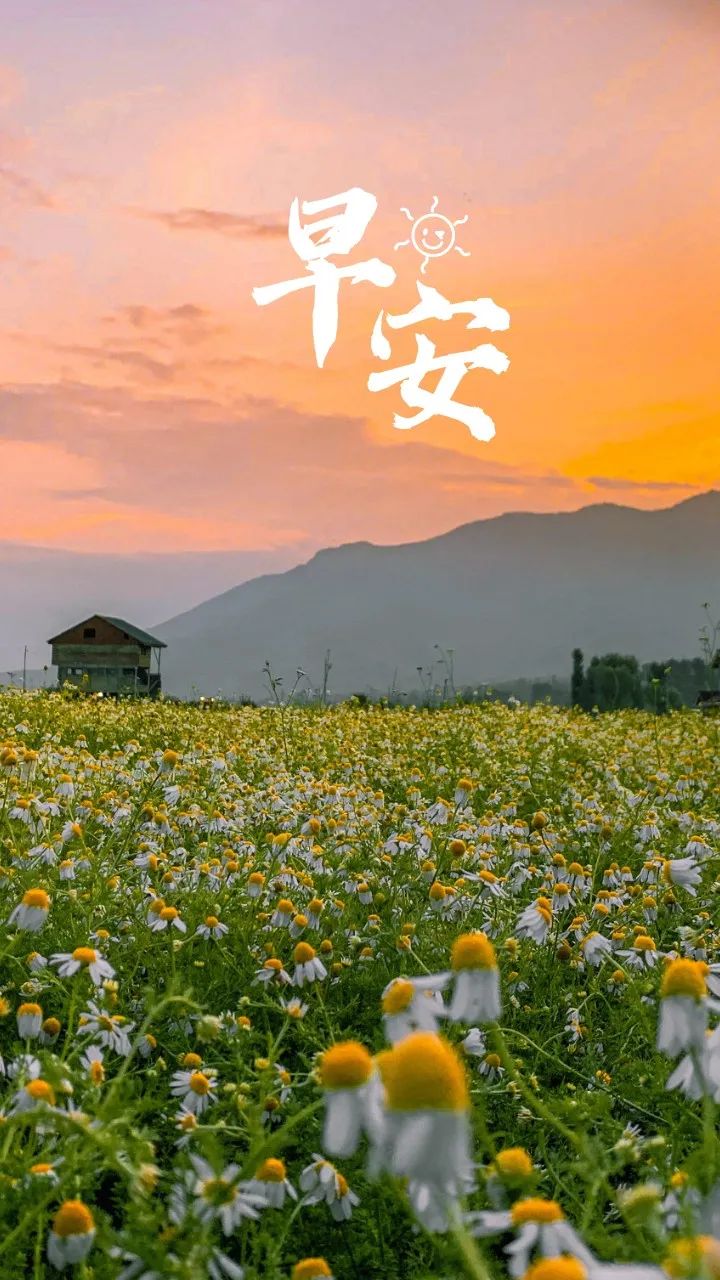 早安心语每日一语励志短句图片,早安问候语正能量努力的短句图片