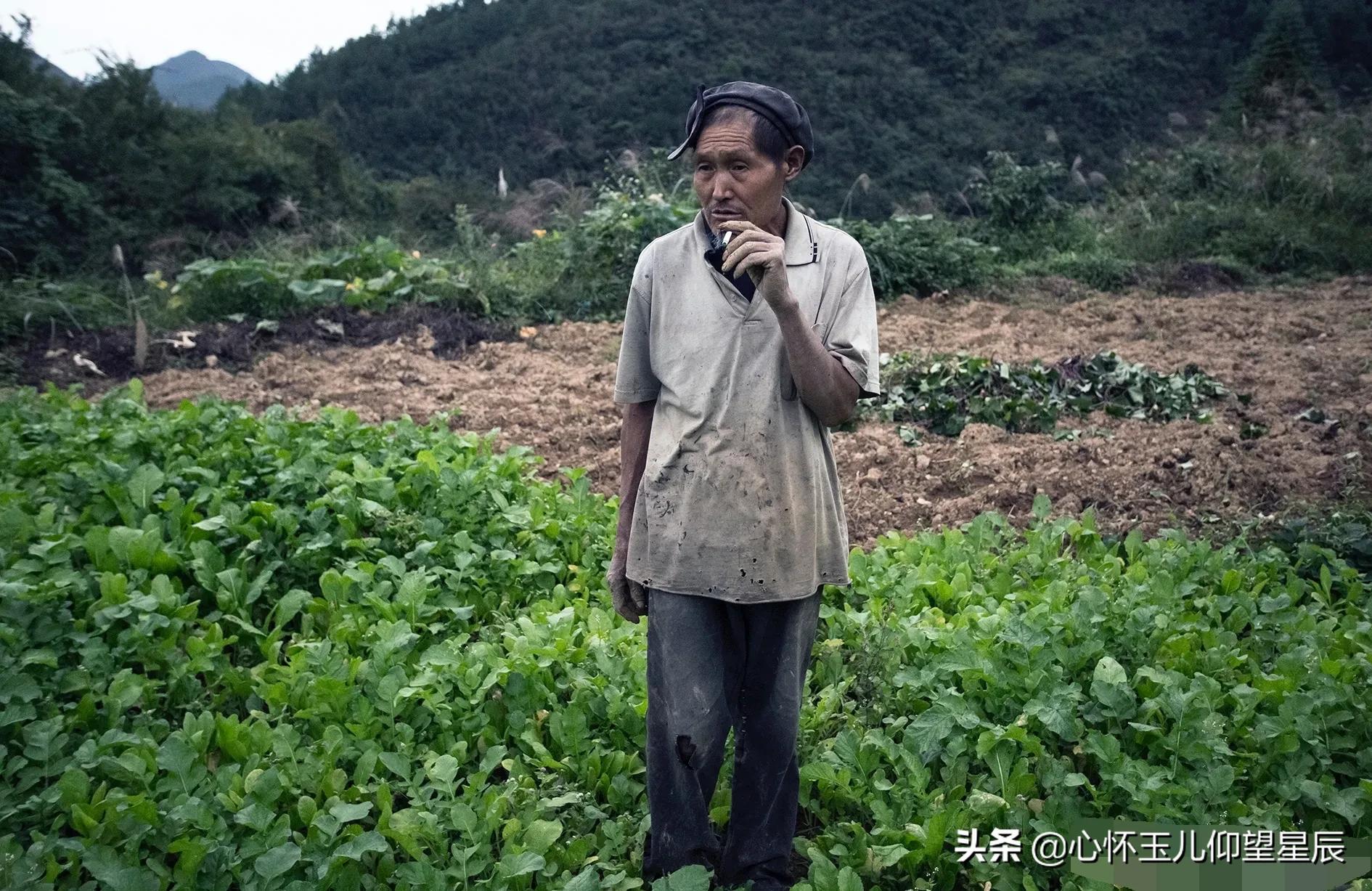 一旦发生战争需要购买什么物资,一旦战争打起来什么东西最不值钱